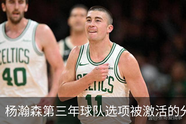 杨瀚森第三年球队选项被激活的分析